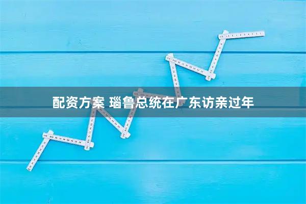 配资方案 瑙鲁总统在广东访亲过年