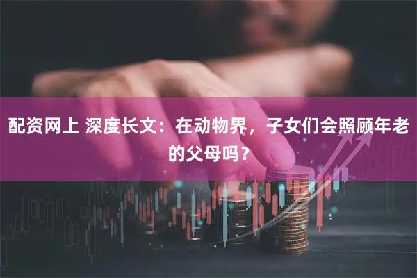 配资网上 深度长文:在动物界,子女们会照顾年老的父母吗?