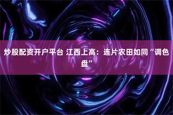 炒股配资开户平台 江西上高：连片农田如同“调色盘”